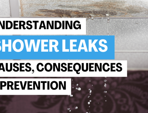 Understanding Shower Leaks: Causes, Consequences and Prevention